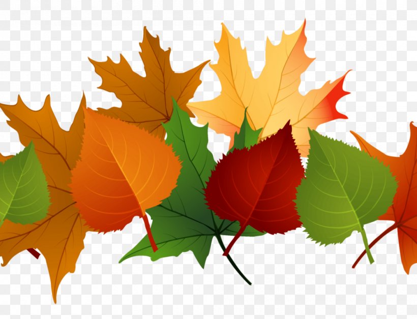 Desktop Wallpaper Thanksgiving Clip Art, PNG, 1000x766px, Thanksgiving, Autumn, Autumn Leaf Color, Diagram, Leaf Download Free