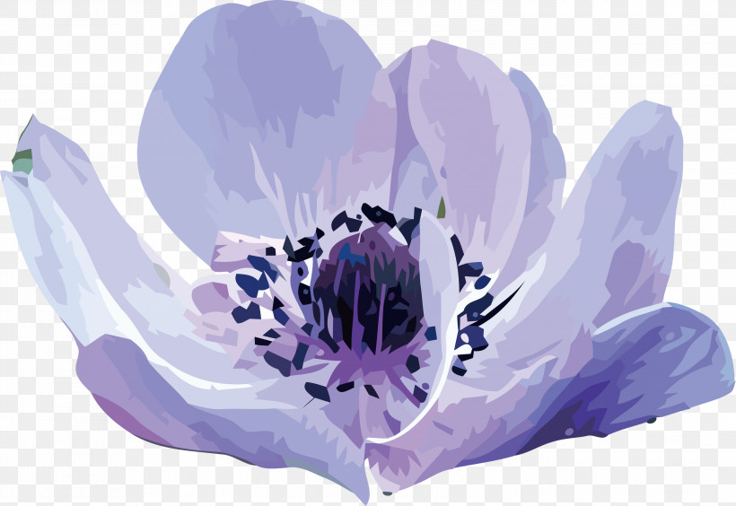 Lavender, PNG, 2999x2063px, Watercolor Flower, Anemone, Biology, Flower, Lavender Download Free