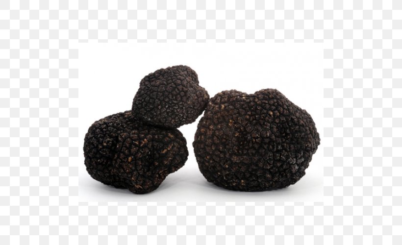 Périgord Black Truffle Tuber Aestivum Piedmont White Truffle Sauce Périgueux, PNG, 500x500px, Tuber Aestivum, Chocolate Truffle, Edible Mushroom, Food, Fungus Download Free