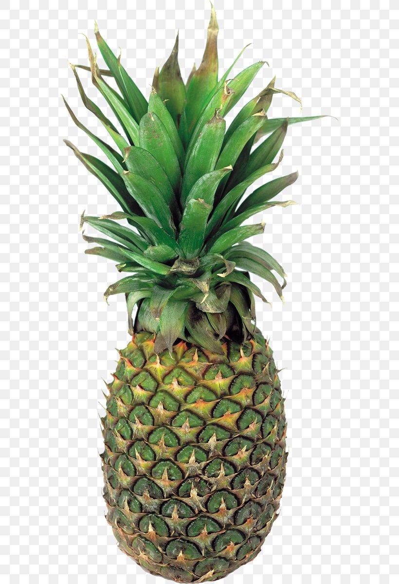 Pineapple Fruit Clip Art, PNG, 572x1200px, Pineapple, Ananas, Berry, Bromeliaceae, Chunk Download Free