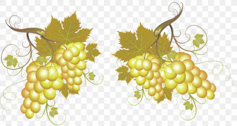 Wine Grape Information Clip Art, PNG, 1600x855px, Wine, Flowering Plant, Food, Fruit, Grape Download Free