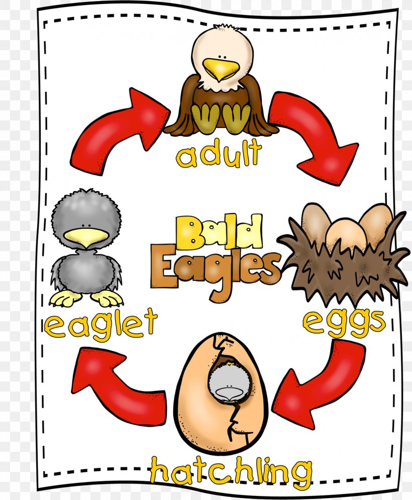 Chicken As Food Butterfly Biological Life Cycle First Grade, PNG, 1215x1477px, Chicken, Animal, Area, Art, Beak Download Free