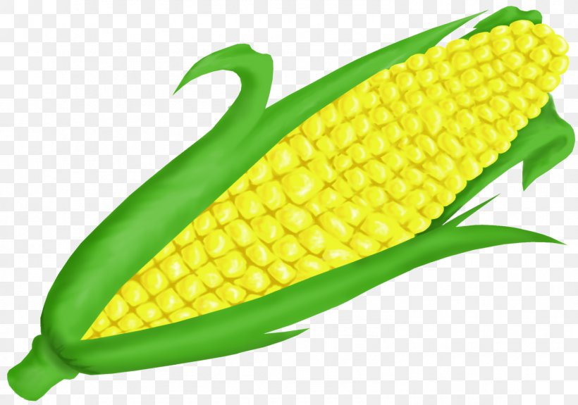 Corn On The Cob Maize Sweet Corn Clip Art, PNG, 1492x1048px, Corn On The Cob, Blog, Commodity, Corn Kernels, Corncob Download Free