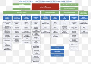 Tiger Brands Organizational Structure Business, PNG, 2733x1903px, Tiger ...