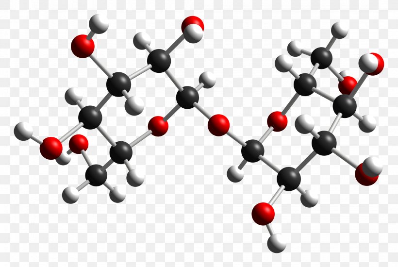 Trehalose Disaccharide Glucose Molecule Fungus, PNG, 2150x1444px, Trehalose, Amylose, Cellulose, Disaccharide, Fungus Download Free