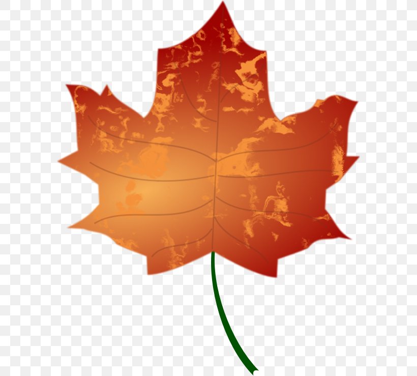 Autumn Leaf Color Clip Art, PNG, 597x739px, Autumn Leaf Color, Autumn, Color, Flowering Plant, Leaf Download Free
