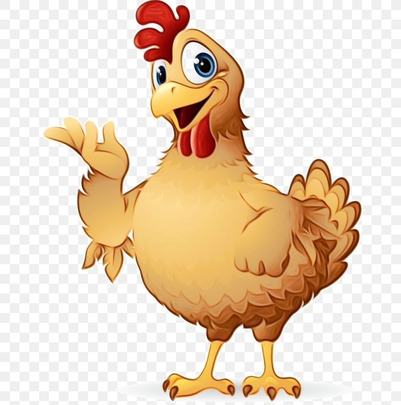 Chicken Bird Rooster Cartoon Beak, PNG, 681x828px, Watercolor, Beak, Bird, Cartoon, Chicken Download Free