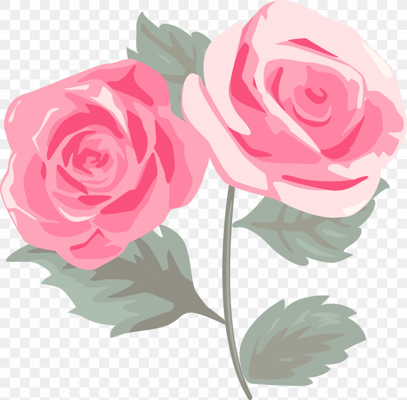 Garden Roses, PNG, 3000x2947px, Pink Rose, Cut Flowers, Floribunda, Flower, Garden Roses Download Free