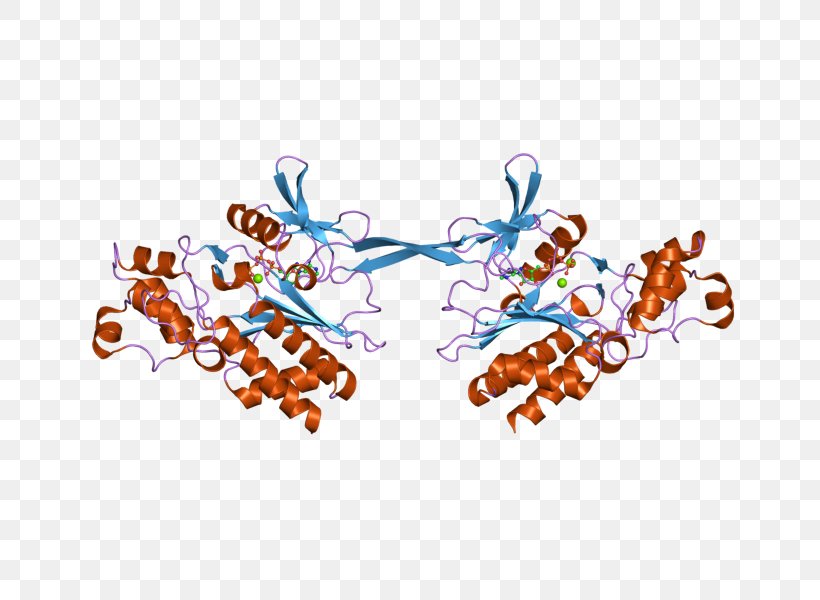 GSTM2 Glutathione S-transferase M2 (muscle), PNG, 800x600px, Glutathione Stransferase, Area, Art, Brand, Clothing Accessories Download Free