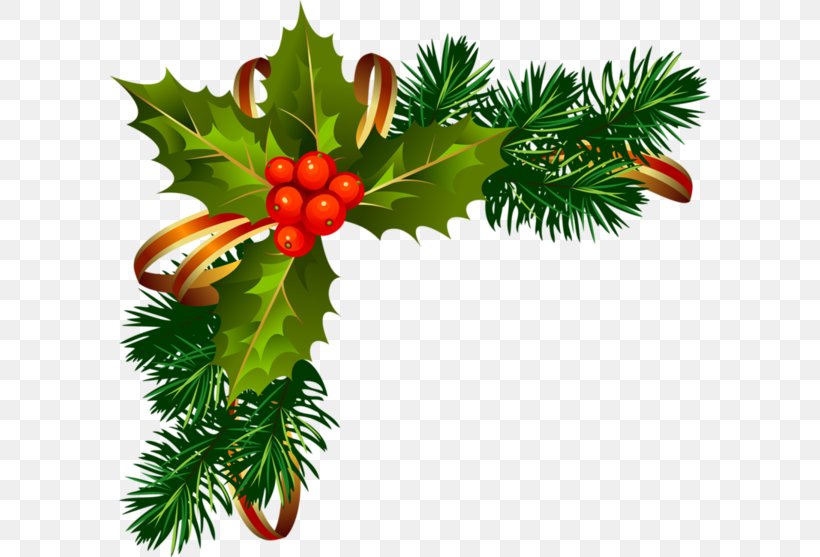 Christmas Graphics Borders And Frames Christmas Day Clip Art, PNG, 600x557px, Christmas Graphics, Aquifoliaceae, Aquifoliales, Borders And Frames, Branch Download Free
