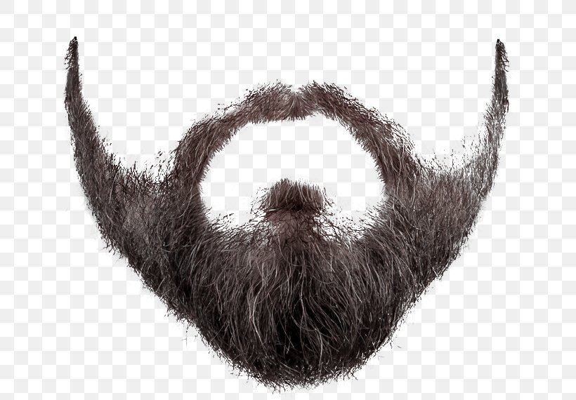 Moustache, PNG, 700x570px, Hair, Beard, Facial Hair, Fur, Moustache Download Free