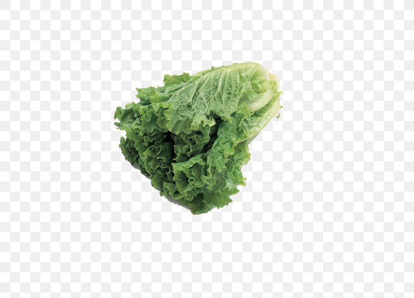 Vegetable Fruit Auglis Food Lettuce, PNG, 591x591px, Vegetable, Auglis, Cabbage, Cooking, Diet Download Free