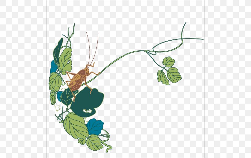 Bush Crickets Insect Illustration, PNG, 518x517px, Bush Crickets, Branch, Flora, Floral Design, Flower Download Free
