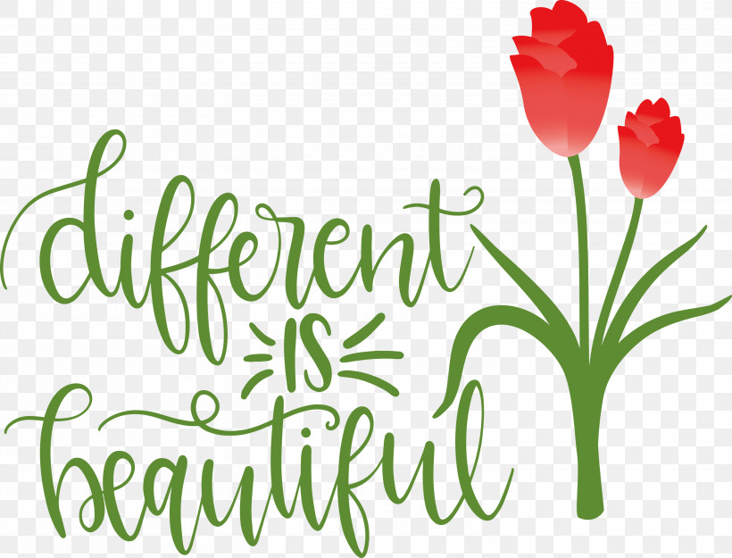Different Is Beautiful Womens Day, PNG, 3000x2287px, Womens Day, Biology, Cut Flowers, Floral Design, Flower Download Free