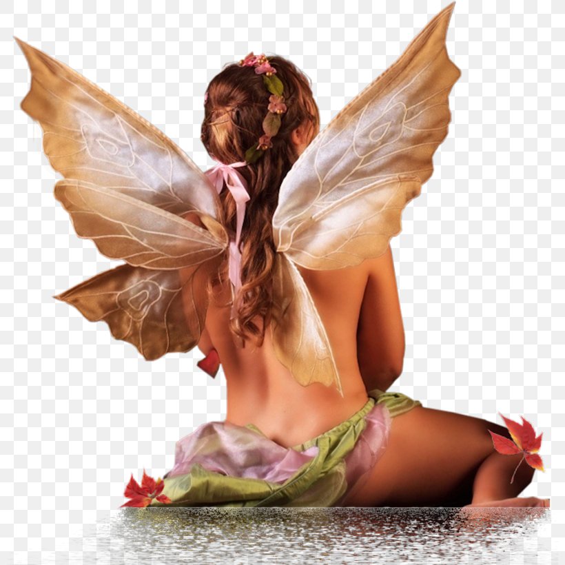 Fairy Féerie Angel Time, PNG, 800x820px, Fairy, Angel, Blog, Fee, Fictional Character Download Free