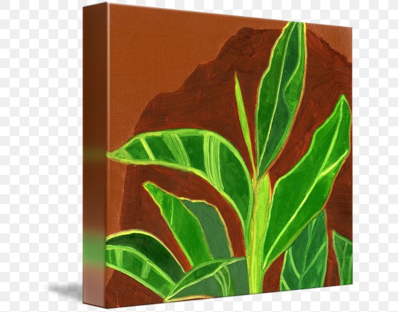 Leaf, PNG, 650x642px, Leaf, Flora, Green, Plant Download Free
