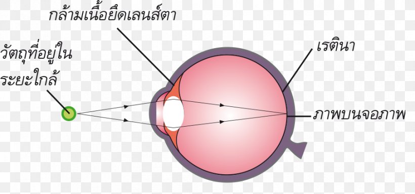 Light Eye Product Design Diagram, PNG, 905x423px, Watercolor, Cartoon, Flower, Frame, Heart Download Free