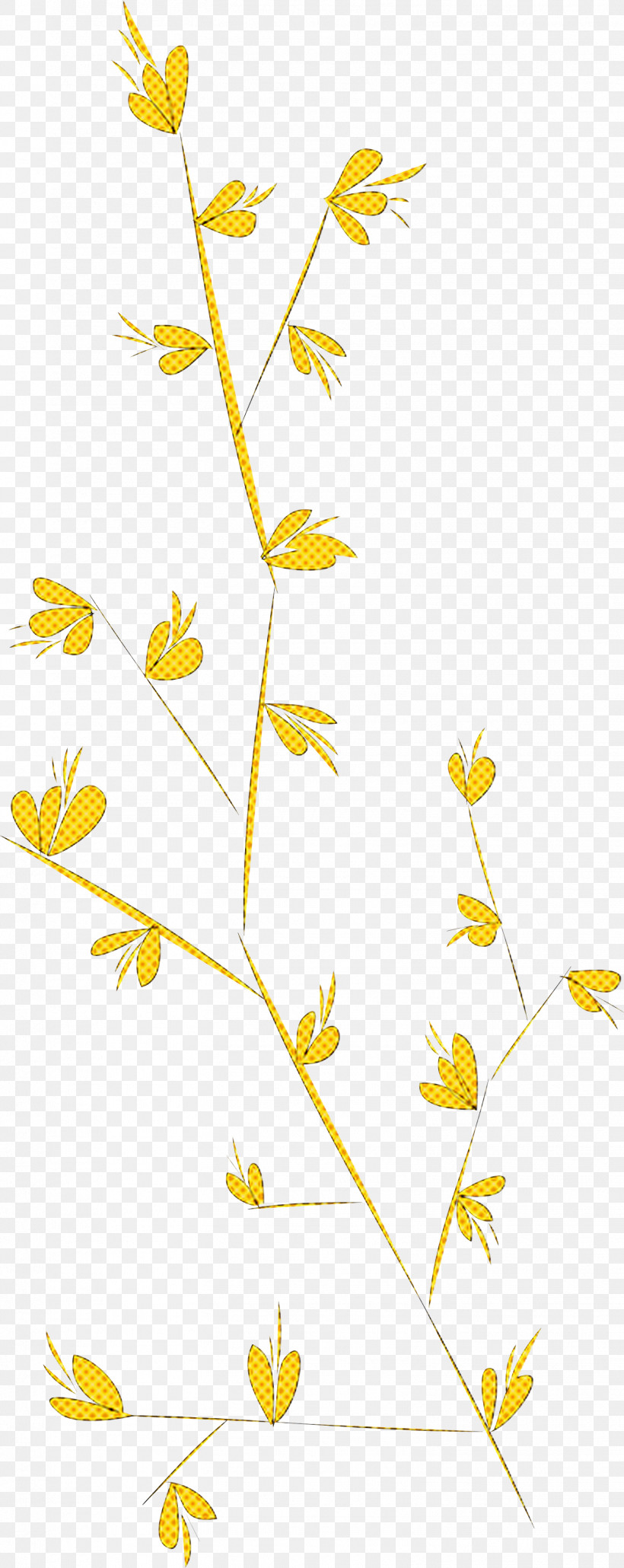 Simple Leaf Simple Leaf Drawing Simple Leaf Outline, PNG, 1556x3910px, Simple Leaf, Cartoon, Drawing, Floral Design, Leaf Download Free