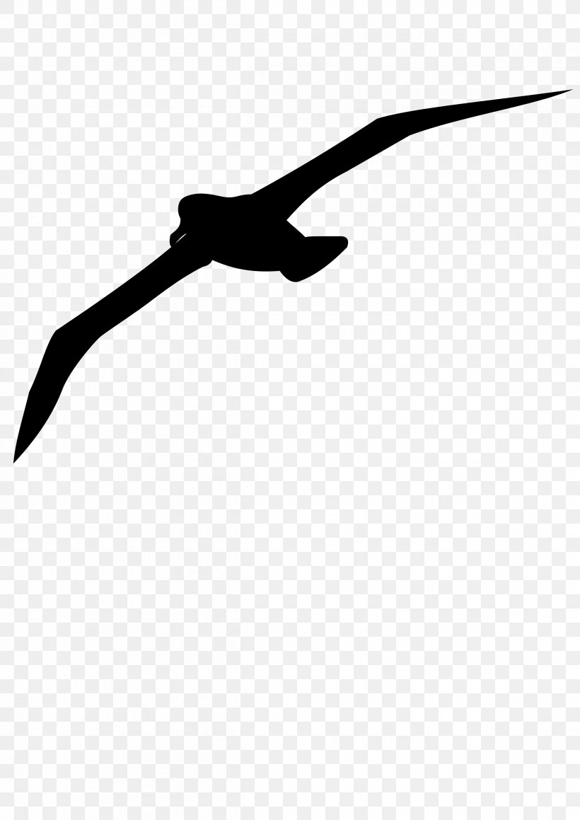 Beak Line Clip Art Angle Silhouette, PNG, 2400x3394px, Beak, Bird, Black M, Silhouette Download Free