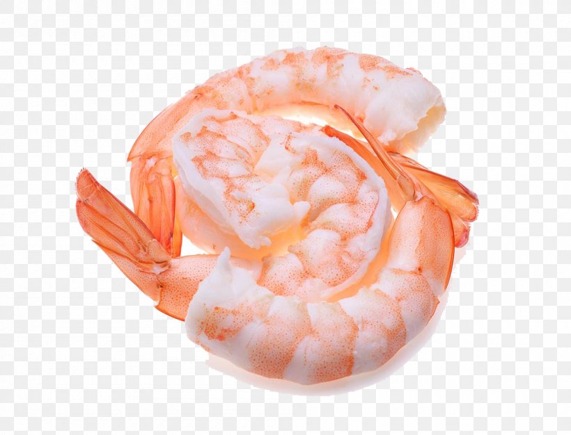 Caridea Orange Shrimp, PNG, 1000x764px, Shrimp, Animal Source Foods, Caridea, Caridean Shrimp, Food Download Free