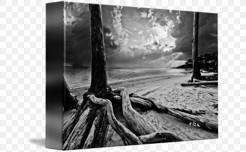Still Life Photography Picture Frames Wood Stock Photography, PNG, 650x506px, Photography, Black And White, Monochrome, Monochrome Photography, Picture Frame Download Free