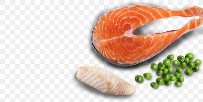 Cat Food Salmon As Food, PNG, 1430x723px, Cat, Cat Food, Diet, Diet Food, Egg Download Free