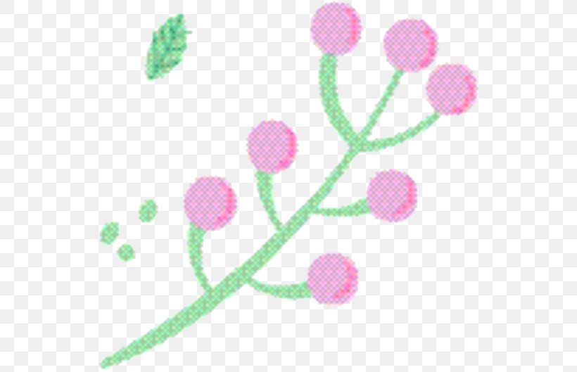 Pink Flower Cartoon, PNG, 555x529px, Pink M, Flower, Meter, Pedicel, Pink Download Free