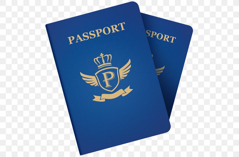 United States Passport Card Travel Visa Document Indian Passport, PNG, 510x539px, Passport, Birth Certificate, Brand, Document, Electric Blue Download Free