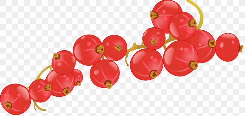 Fruit Cherry Download Clip Art, PNG, 2792x1328px, Fruit, Animation, Berry, Cherry, Currant Download Free