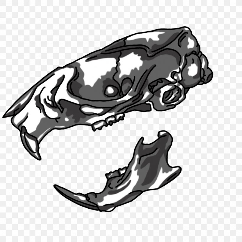 Laboratory Rat Skull Drawing, PNG, 894x894px, Rat, Animal, Automotive Design, Black And White, Drawing Download Free
