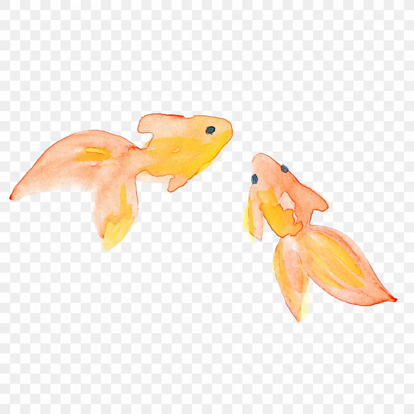 Orange, PNG, 2000x2000px, Watercolor Fish, Animal Figure, Goldfish, Orange, Paint Download Free