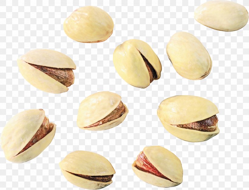 Pistachio Food Macaroon Nut Cuisine, PNG, 3000x2298px, Watercolor, Cuisine, Dish, Food, Ingredient Download Free