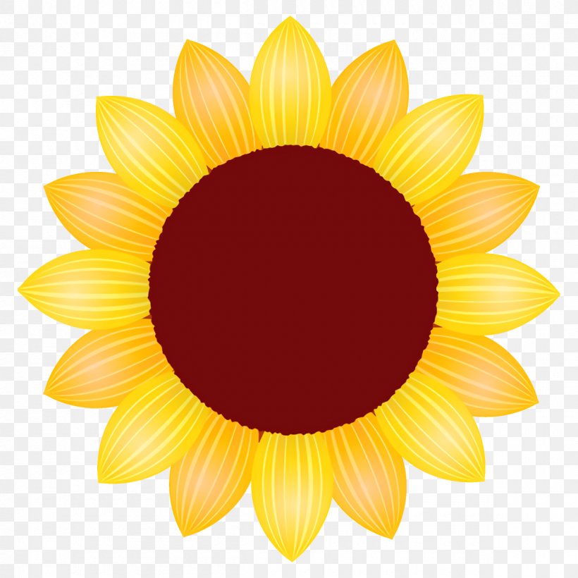 Sunflower, PNG, 1200x1200px, Sunflower, Daisy Family, Flower, Flowering Plant, Gazania Download Free