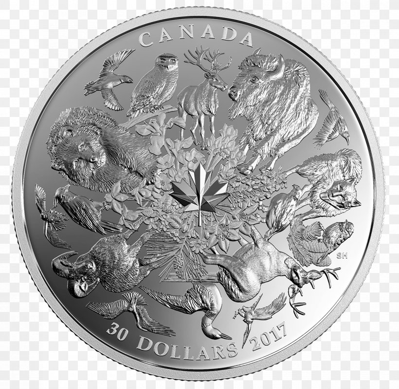 Coin 150th Anniversary Of Canada Silver Flora, PNG, 1198x1166px, 150th Anniversary Of Canada, Coin, Black And White, Canada, Coin Grading Download Free