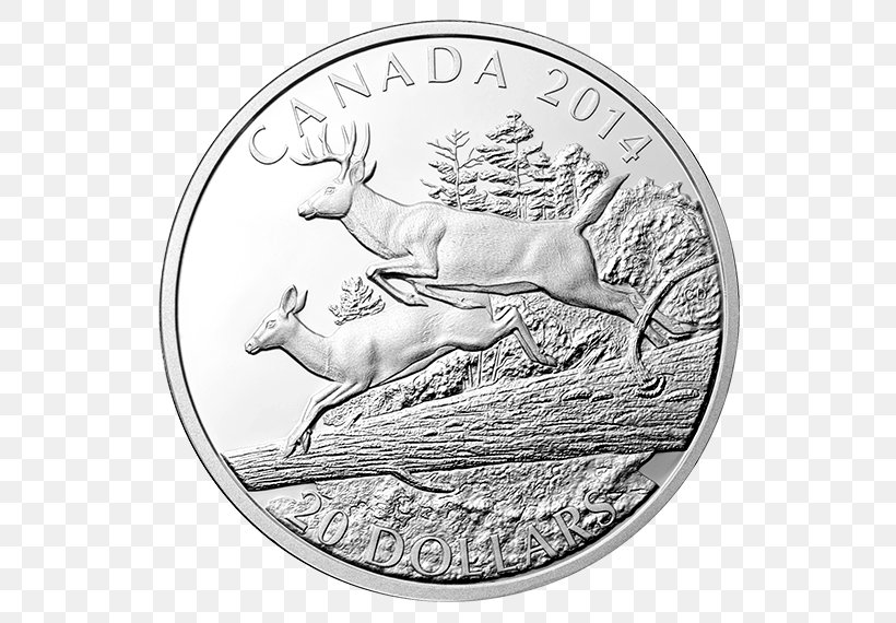 Coin Silver White-tailed Deer Perth Mint, PNG, 570x570px, Coin, Black And White, Bullion, Bullion Coin, Collectable Download Free