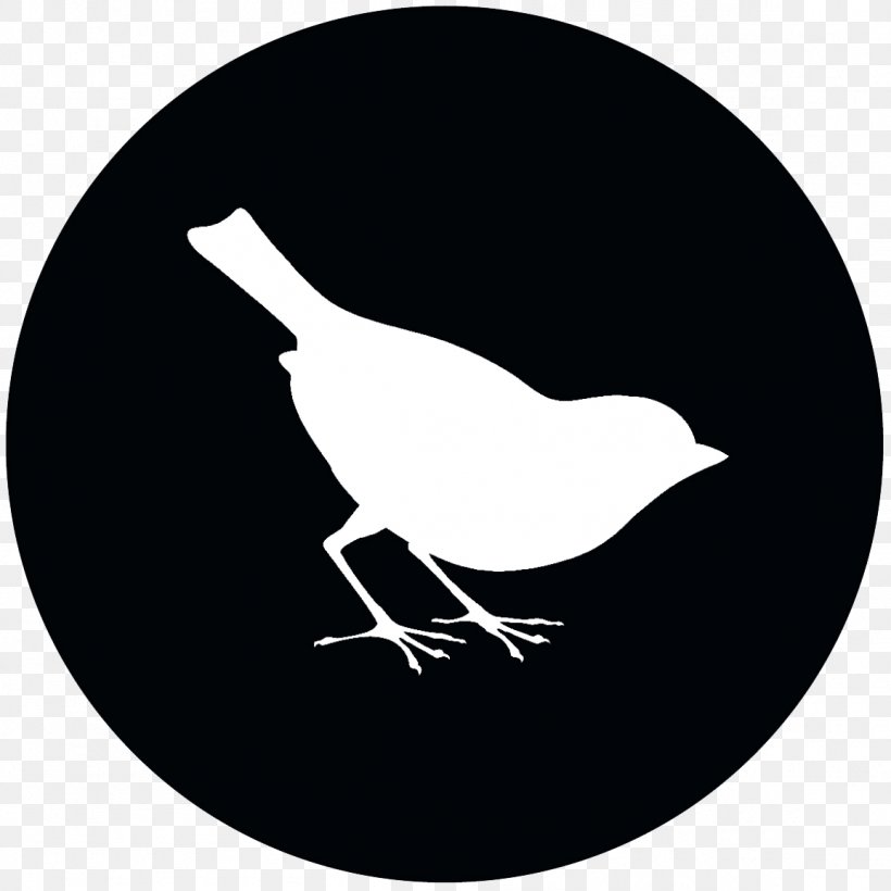 YouTube Computer Software, PNG, 1155x1155px, Youtube, Beak, Bird, Black And White, Branch Download Free