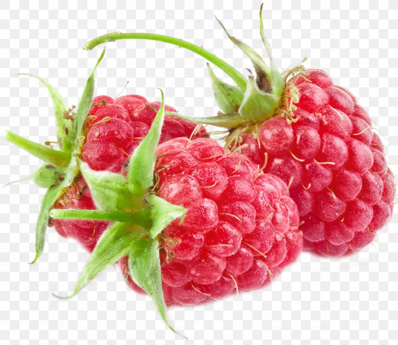 Red Raspberry Everbearing Raspberry Clip Art, PNG, 2896x2513px, Red Raspberry, Berry, Blackberry, Boysenberry, Computer Graphics Download Free