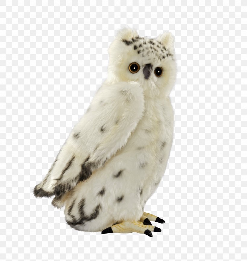 Snowy Owl Bird Stuffed Animals & Cuddly Toys, PNG, 1941x2048px, Owl, Animal, Barn Owl, Beak, Bird Download Free