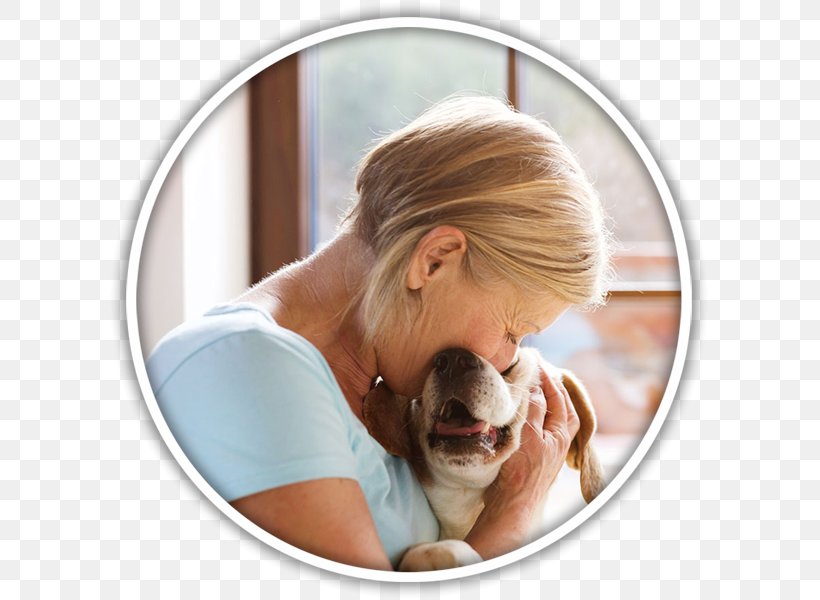 Therapy Dog Pet Sitting Veterinarian, PNG, 600x600px, Dog, Animal Rescue Group, Animal Shelter, Animalassisted Therapy, Arm Download Free