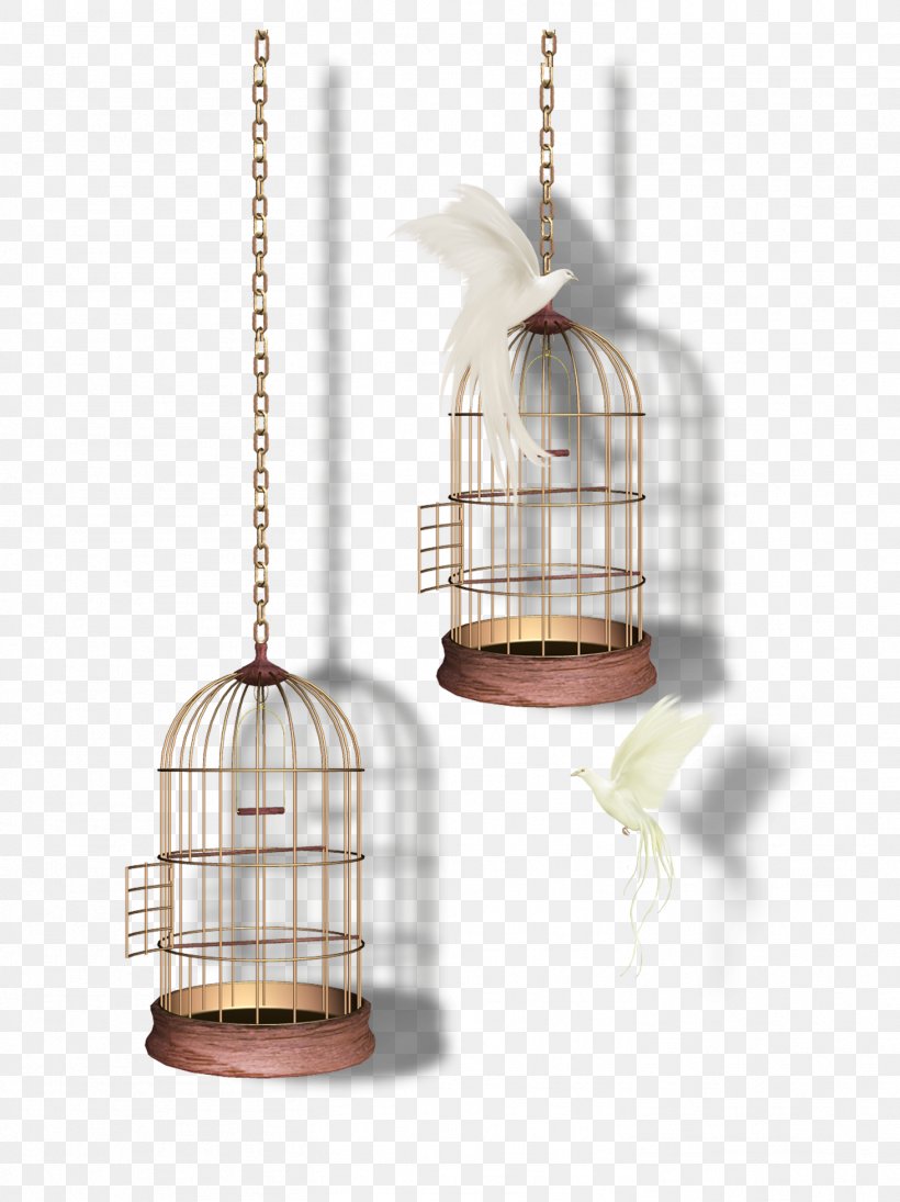 Ceiling Fixture Product Design, PNG, 1462x1953px, Ceiling Fixture, Bird Feeder, Bird Supply, Cage, Ceiling Download Free