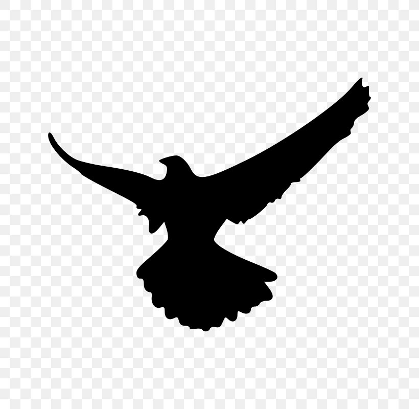 Falcon Silhouette Clip Art, PNG, 800x800px, Falcon, Beak, Bird, Bird Of Prey, Black And White Download Free