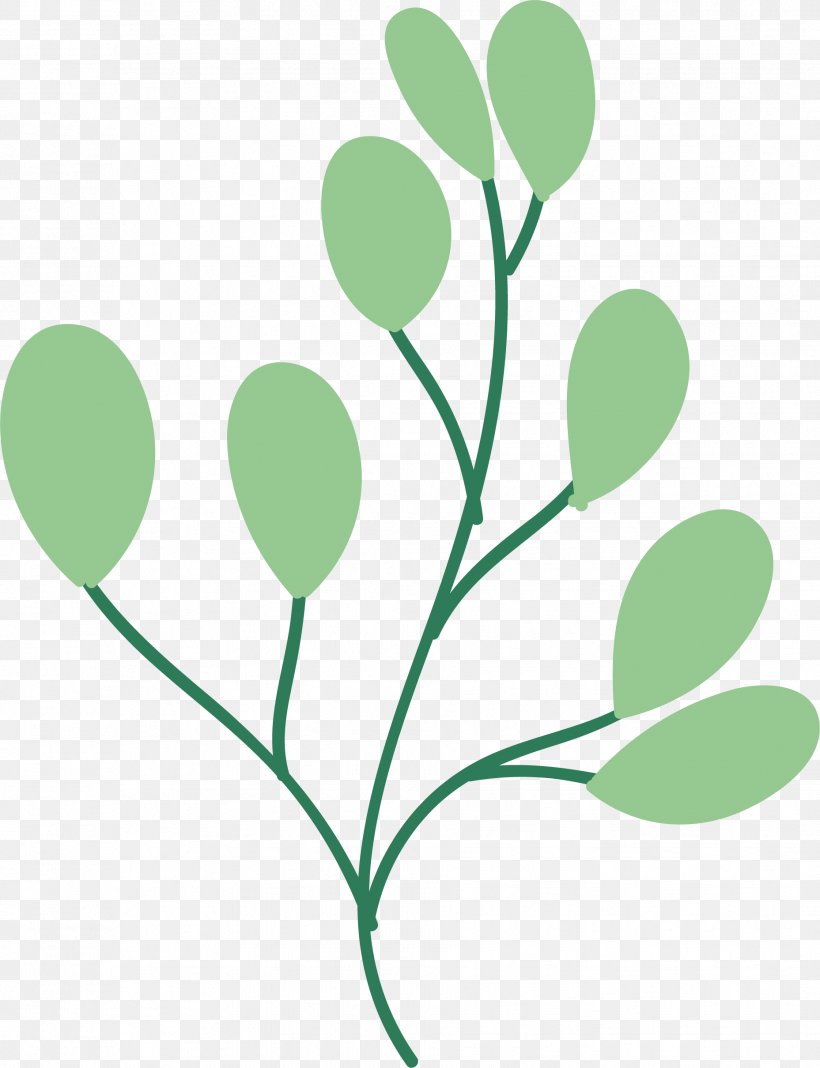 Image Cartoon Vector Graphics Drawing, PNG, 1857x2420px, Cartoon, Botany, Drawing, Flower, Grass Download Free