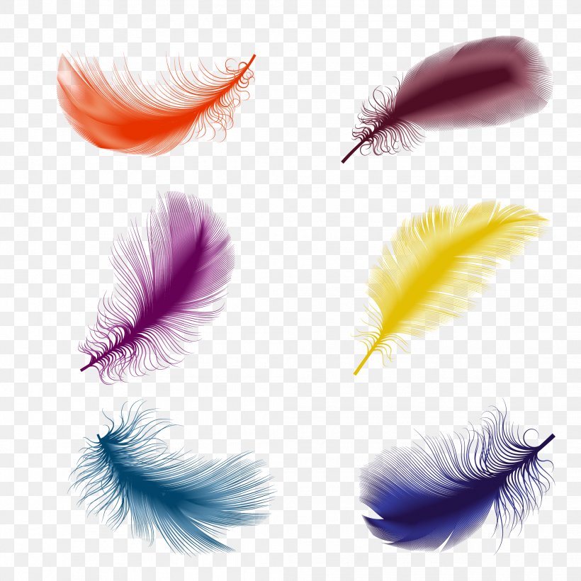Bird Feather Drawing Illustration, PNG, 2083x2083px, Bird, Color, Down Feather, Drawing, Eyelash Download Free