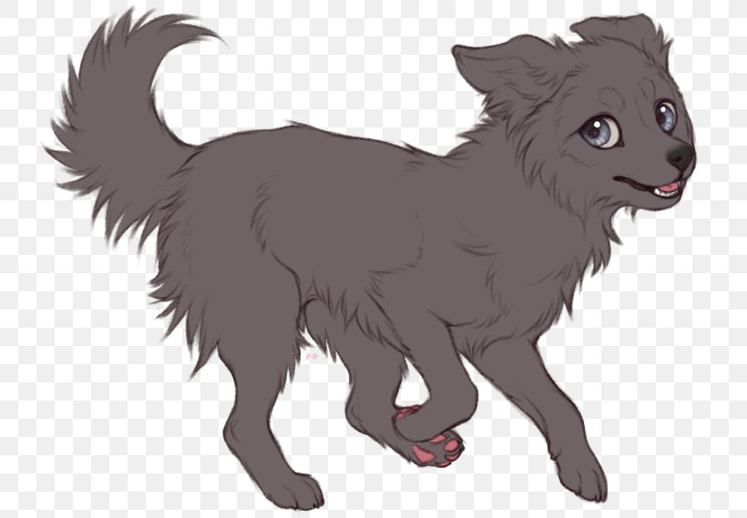 Border Collie Whiskers Rough Collie Dog Breed Drawing, PNG, 735x569px, Border Collie, Animal, Art, Breed, Carnivoran Download Free