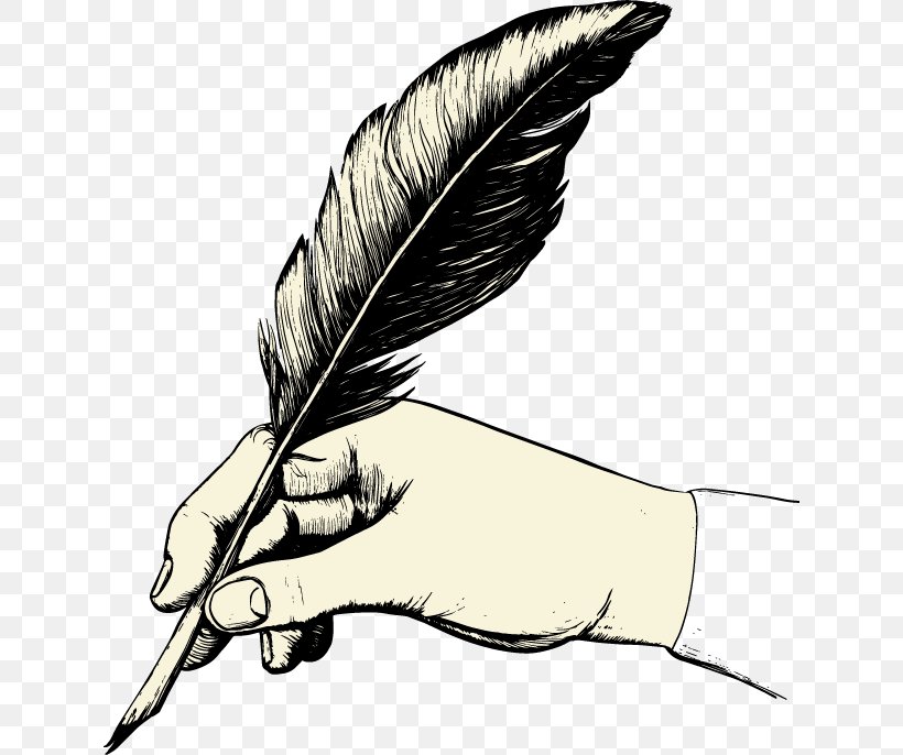 Feather Paper Quill Pen Clip Art, PNG, 632x686px, Feather, Arm, Beak, Bird, Black And White Download Free