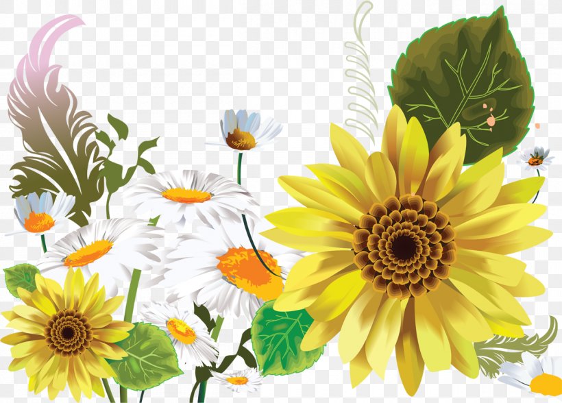 Limousin .de, PNG, 1200x861px, Limousin, Annual Plant, Chrysanths, Cut Flowers, Daisy Download Free
