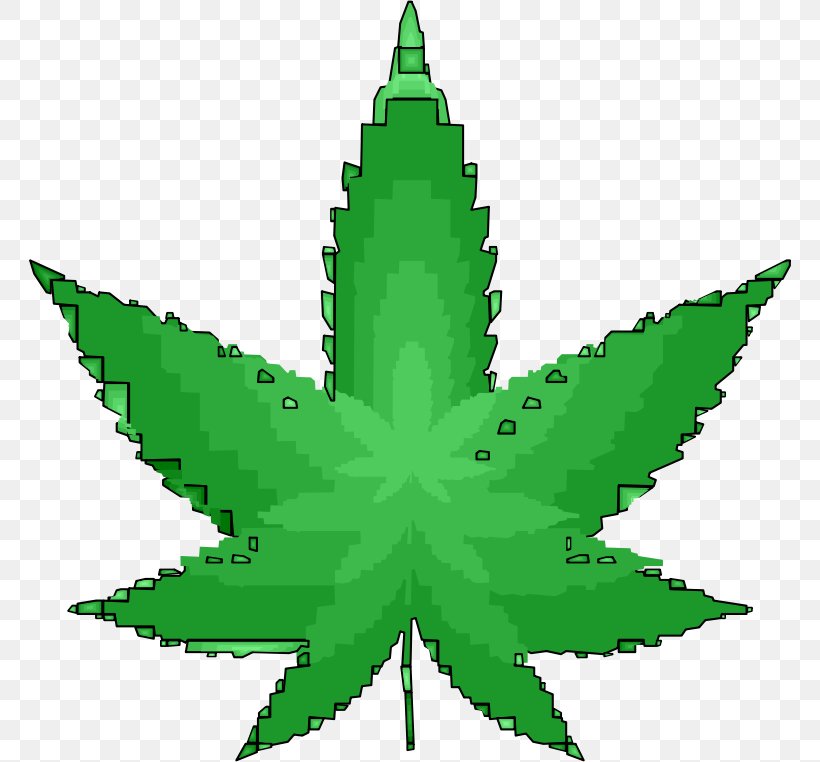 Medical Cannabis 420 Day Cannabis Sativa Bong, PNG, 762x762px, 420 Day, Cannabis, Bong, Cannabis Sativa, Drug Download Free