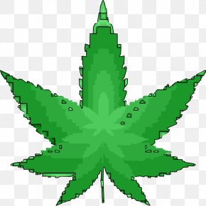 Leaf Illustration - Medical Cannabis 420 Day Cannabis Sativa Bong PNG
