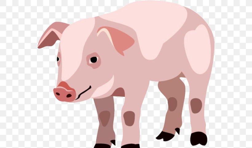 Piglet Domestic Pig Cartoon, PNG, 578x483px, Piglet, Animal, Animation, Cartoon, Cattle Like Mammal Download Free