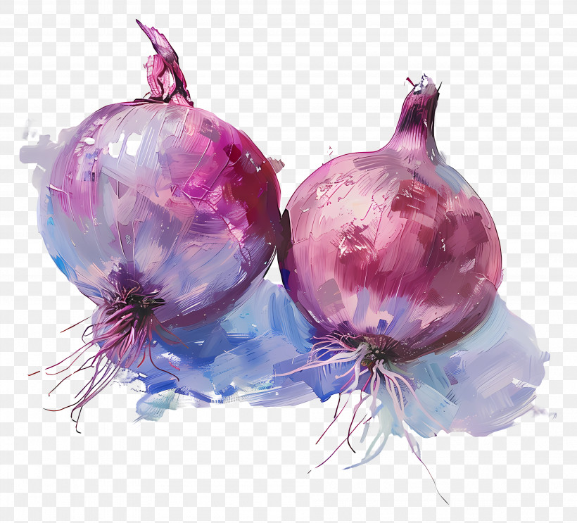 Purple Onions Artwork - Artistic Illustration Of Purple Onions PNG